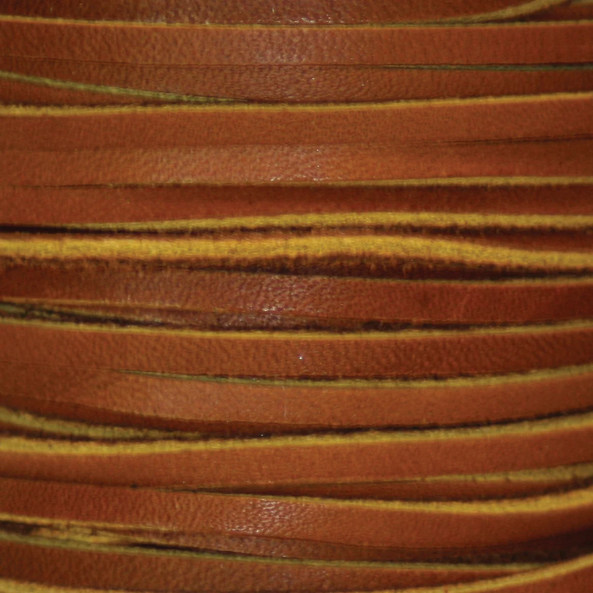 Spooled Latigo Lace, 1/8" x 50 feet