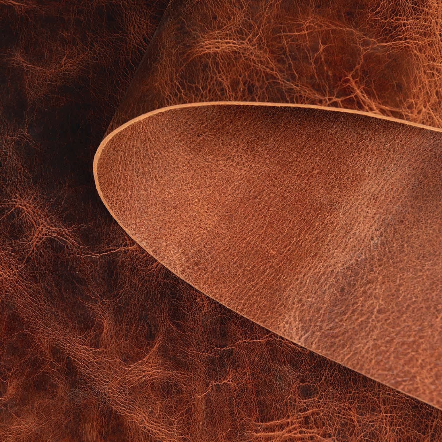 10697-water-buffalo-leather-single-bends-1.webp