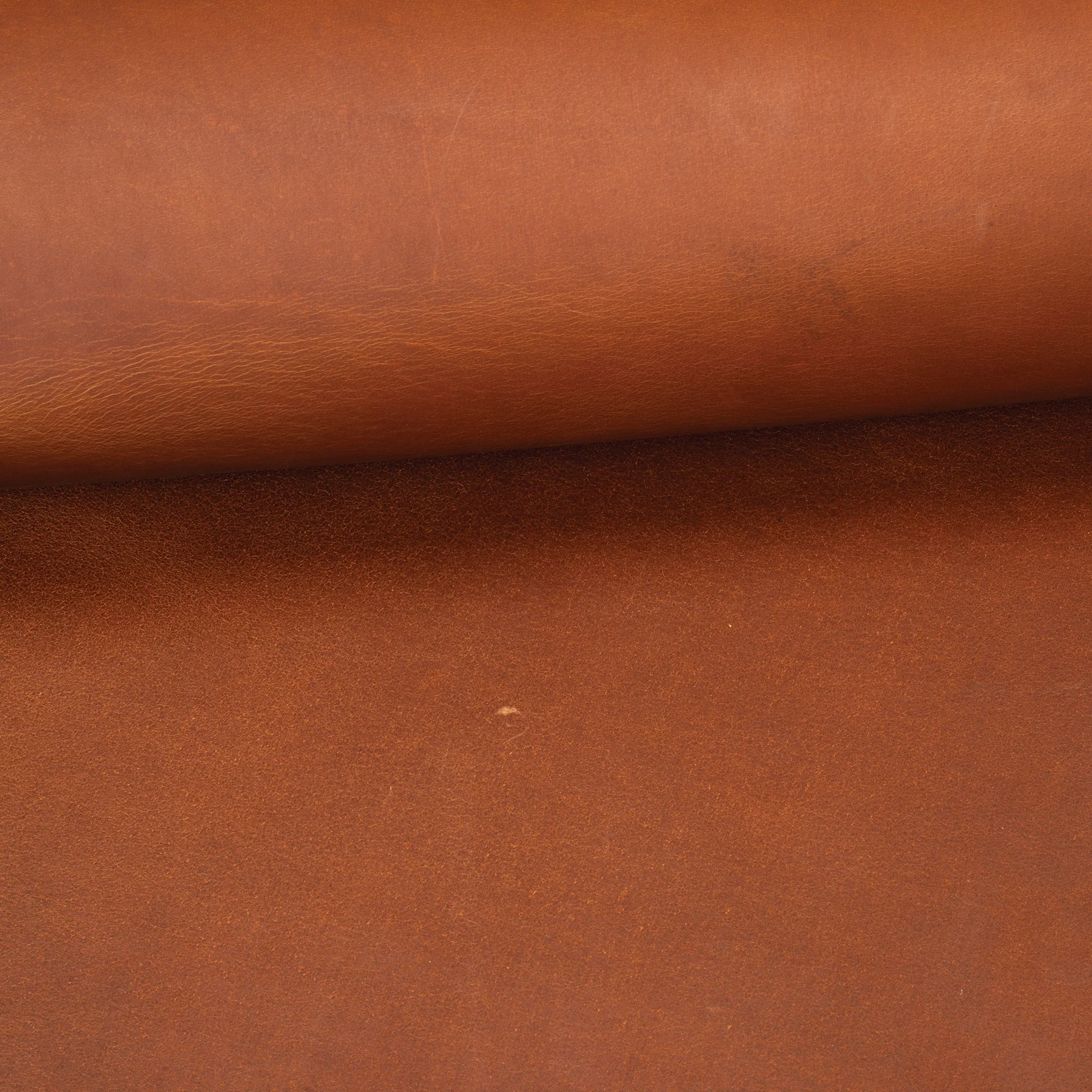10697-water-buffalo-leather-single-bends-1.webp