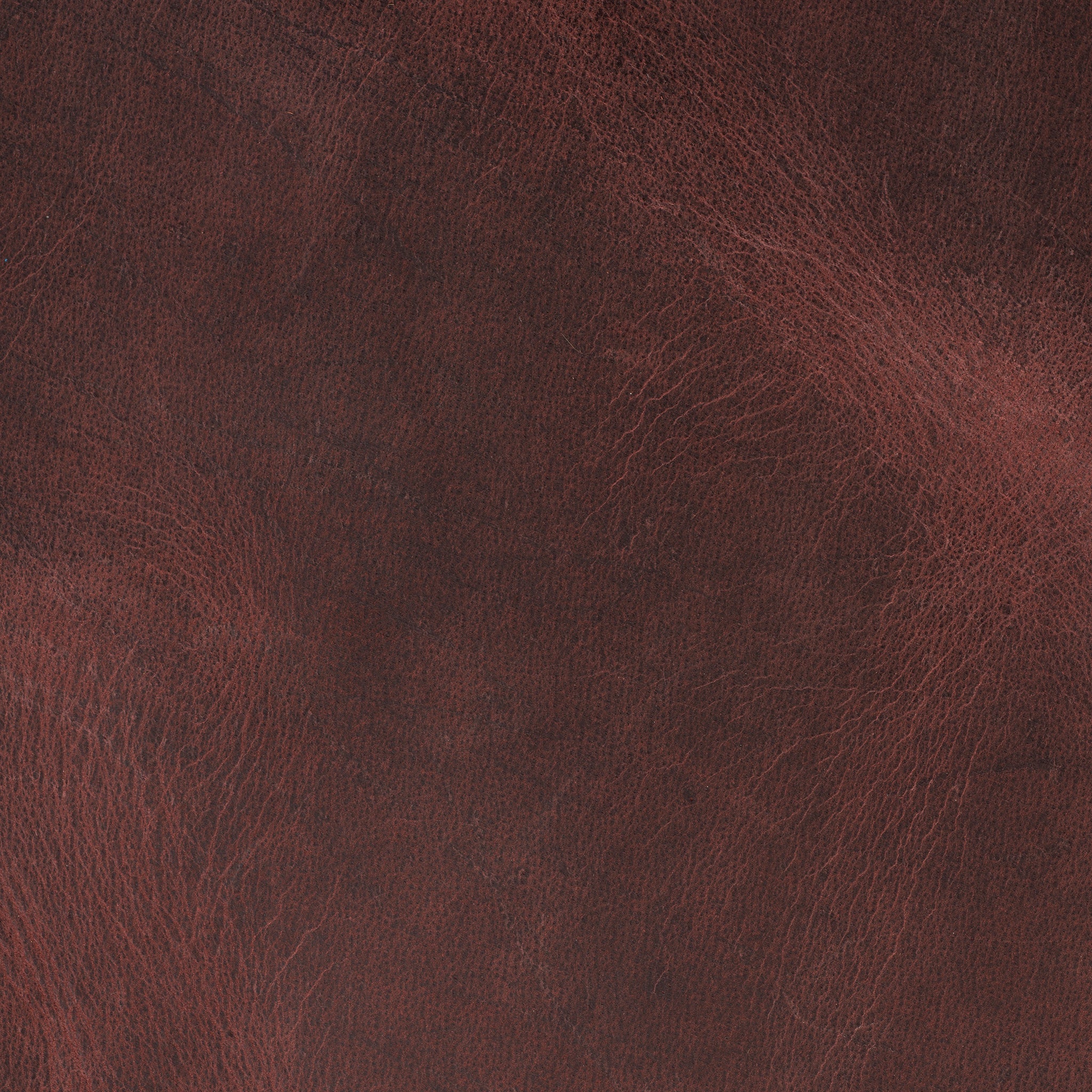 10697-water-buffalo-leather-single-bends-1.webp