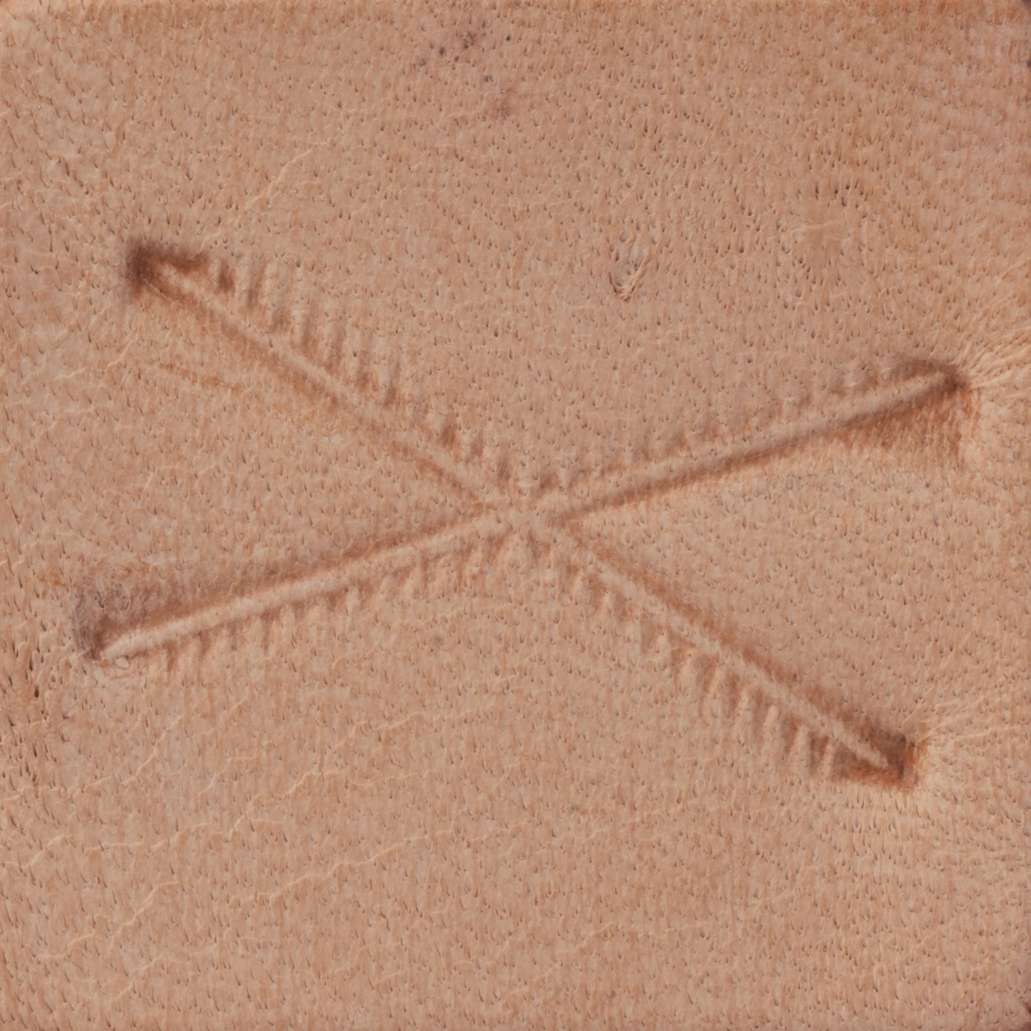 X Border Stamping Tool, D2175