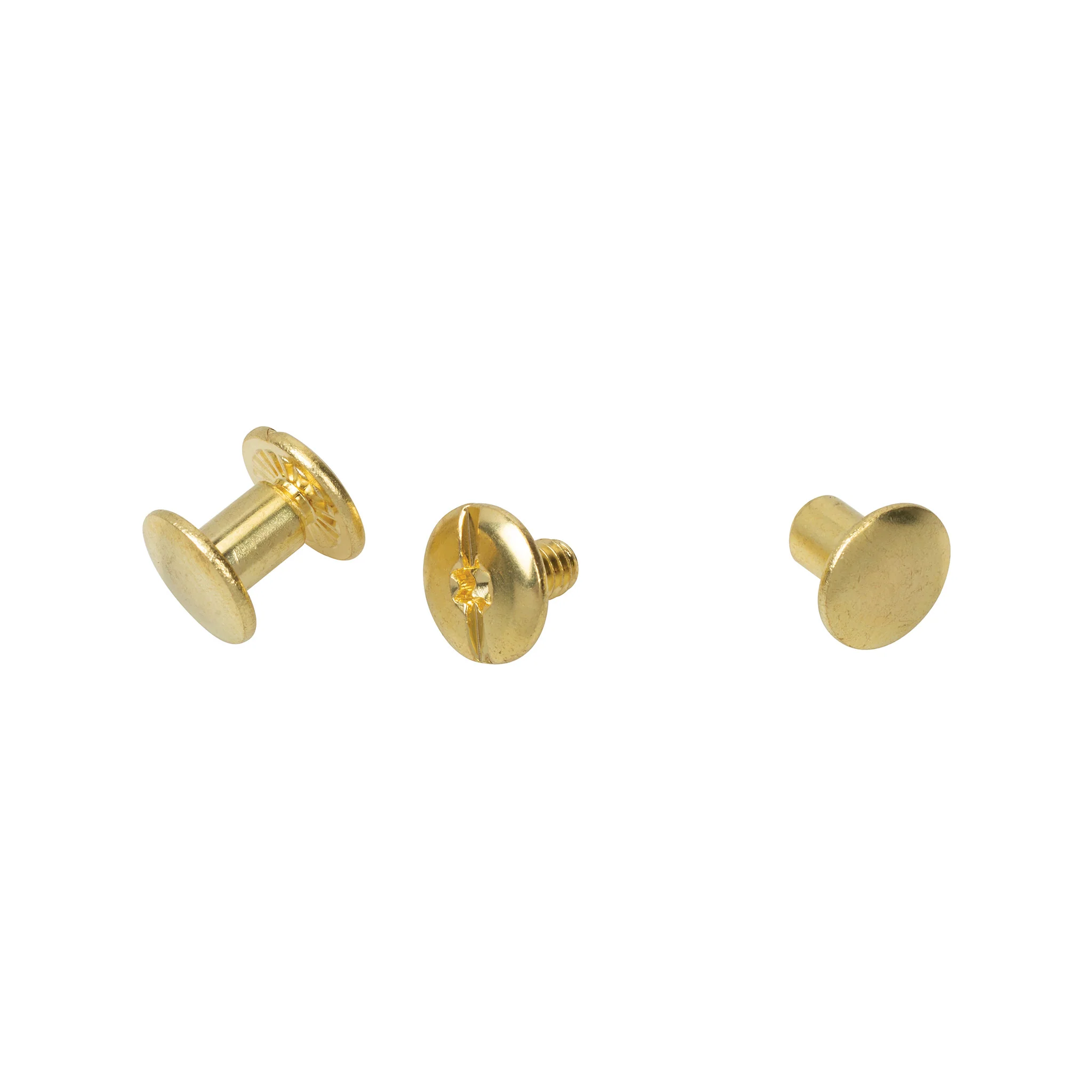 3561-10-pack-of-d5038-chicago-screws-plain-1-4–1.webp