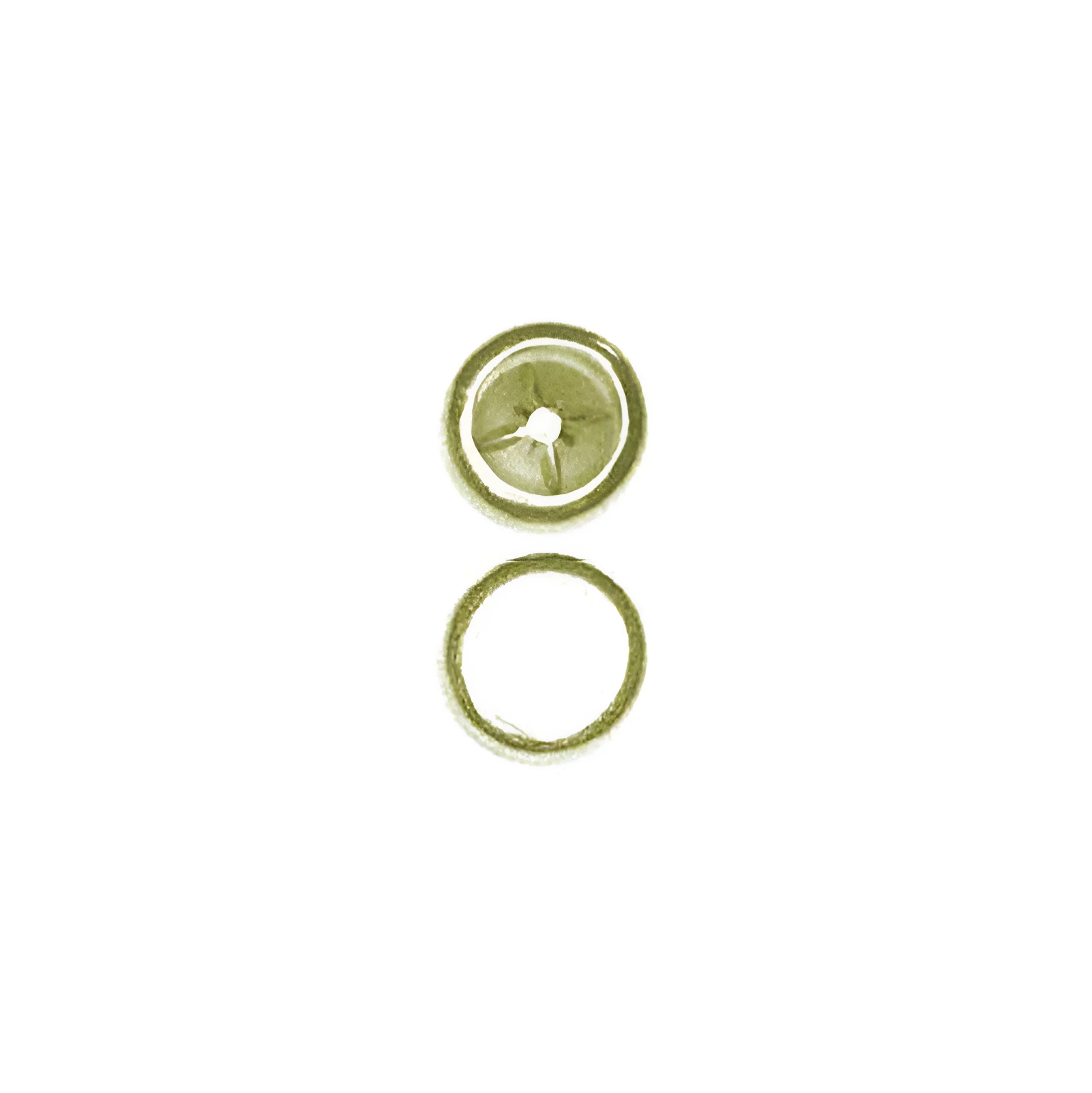 5/16" Brass, Rivet Cap, Steel - 24 pk, #40-CAP-BP