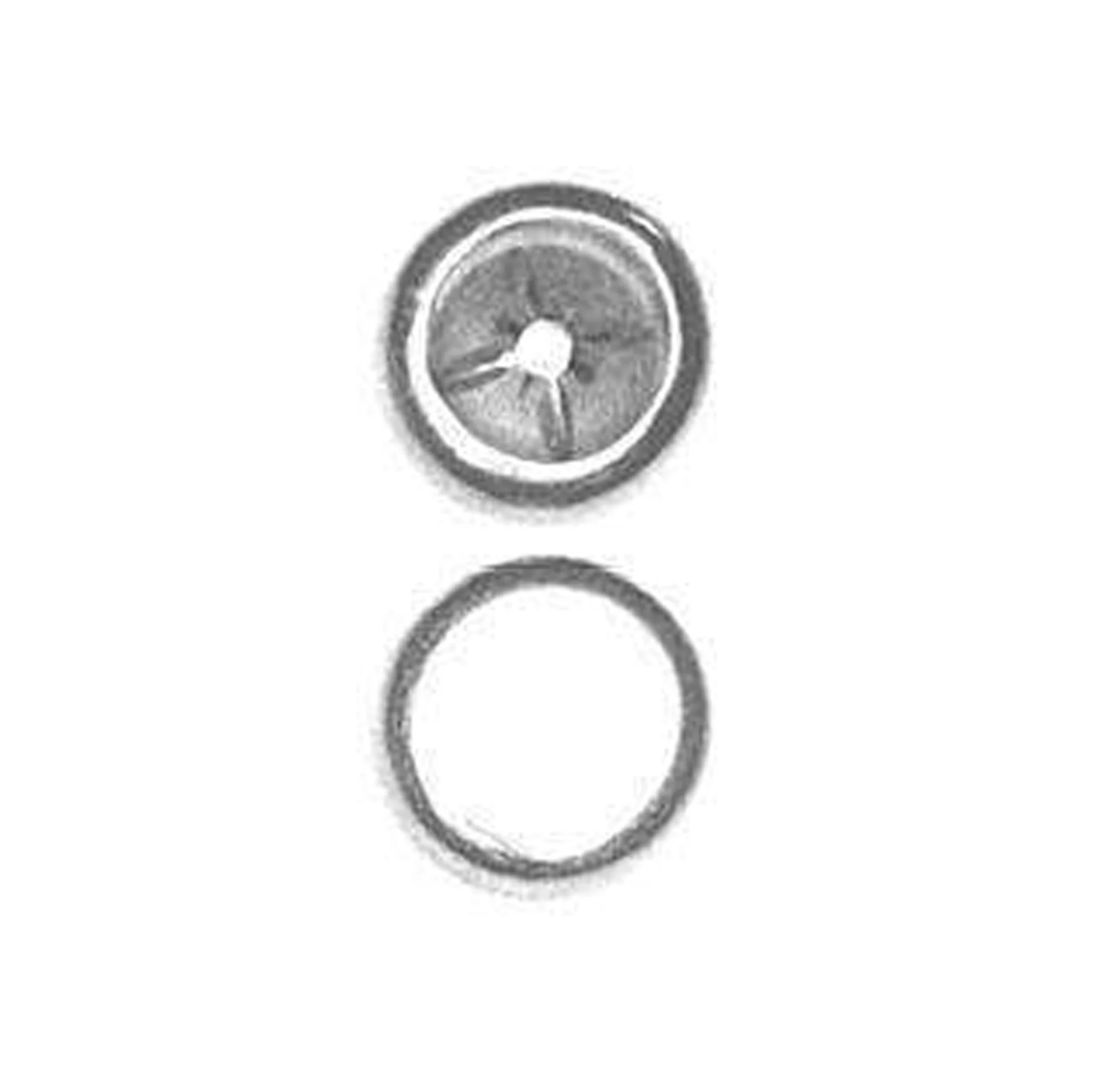 5/16" Nickel, Rivet Cap, Steel - 24 pk, #40-CAP-NP