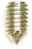 5mm Gold, 1.5m Allen Wrench Set Screw, Steel-PK10, #P-1493-5MM-GOLD