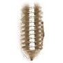 7mm Gold, 1.5m Allen Wrench Set Screw, Steel-PK10, #P-1493-7MM-GOLD