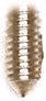 5111-7mm-nickel-1-5m-allen-wrench-set-screw-steel-pk10-p-1493-7mm-nic-1.jpg