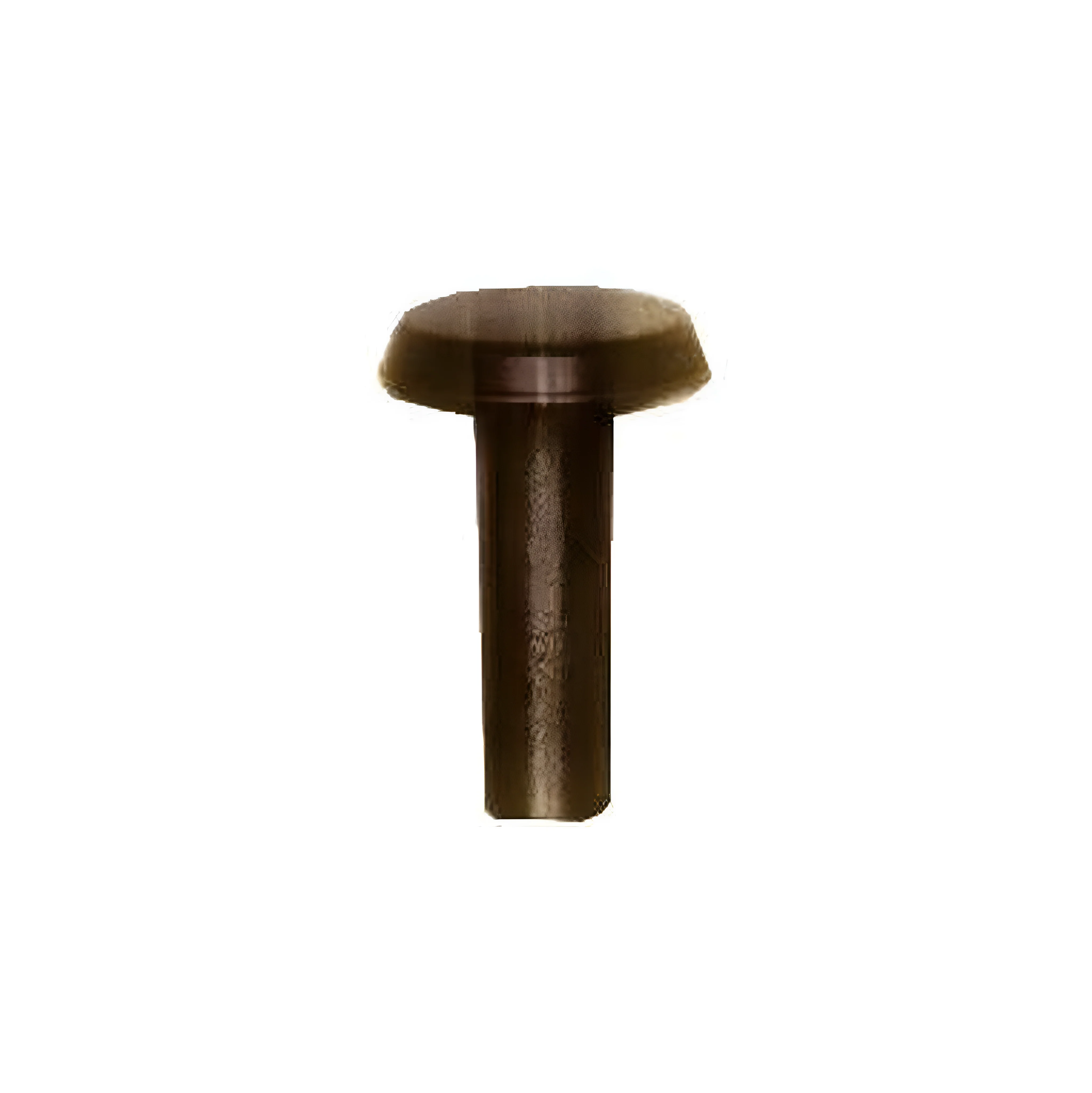 8/16" Antique Brass, Tubular Rivet, Steel - 24 pk, #310-8-16-AB