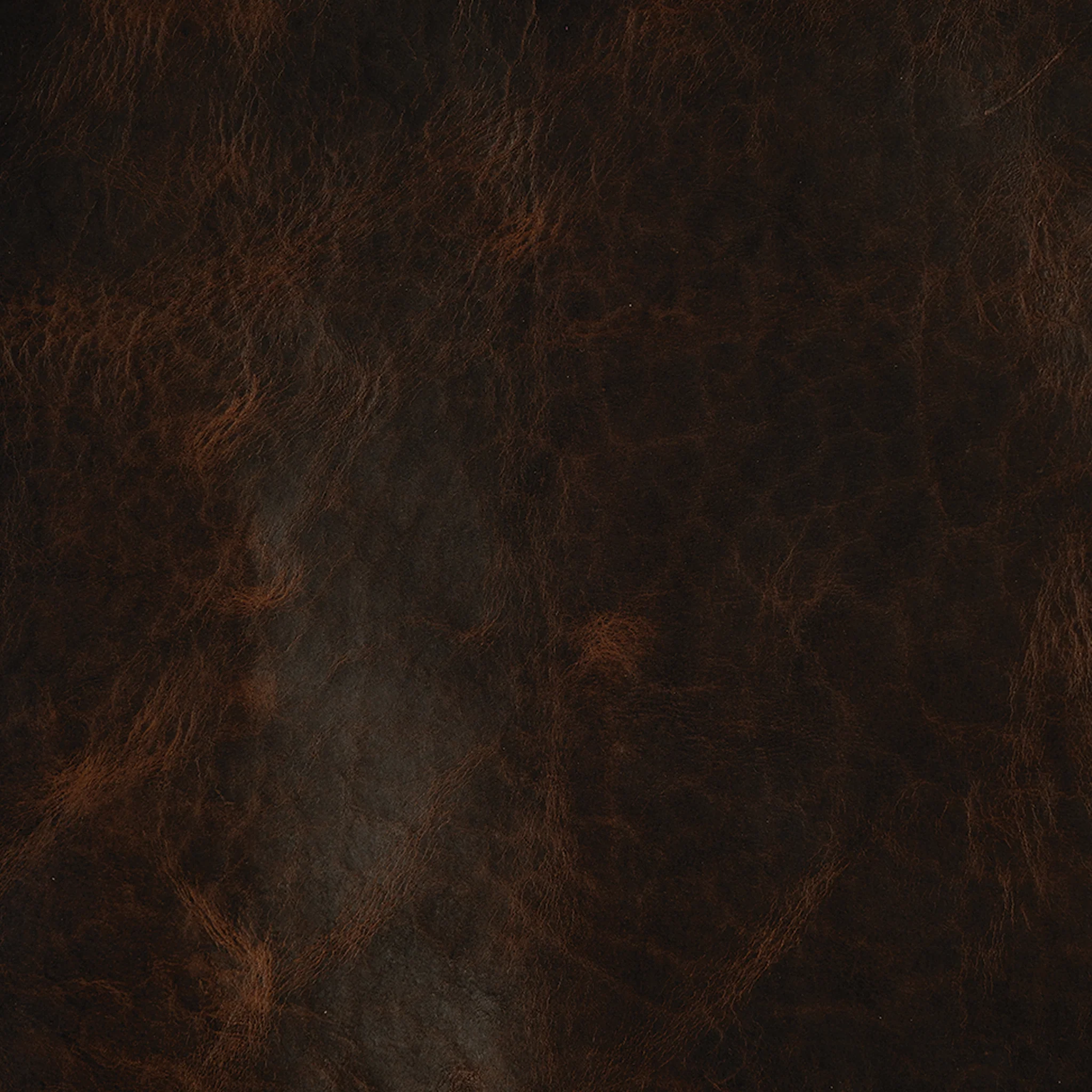 9226-sample-american-bison-leather-side-1.webp