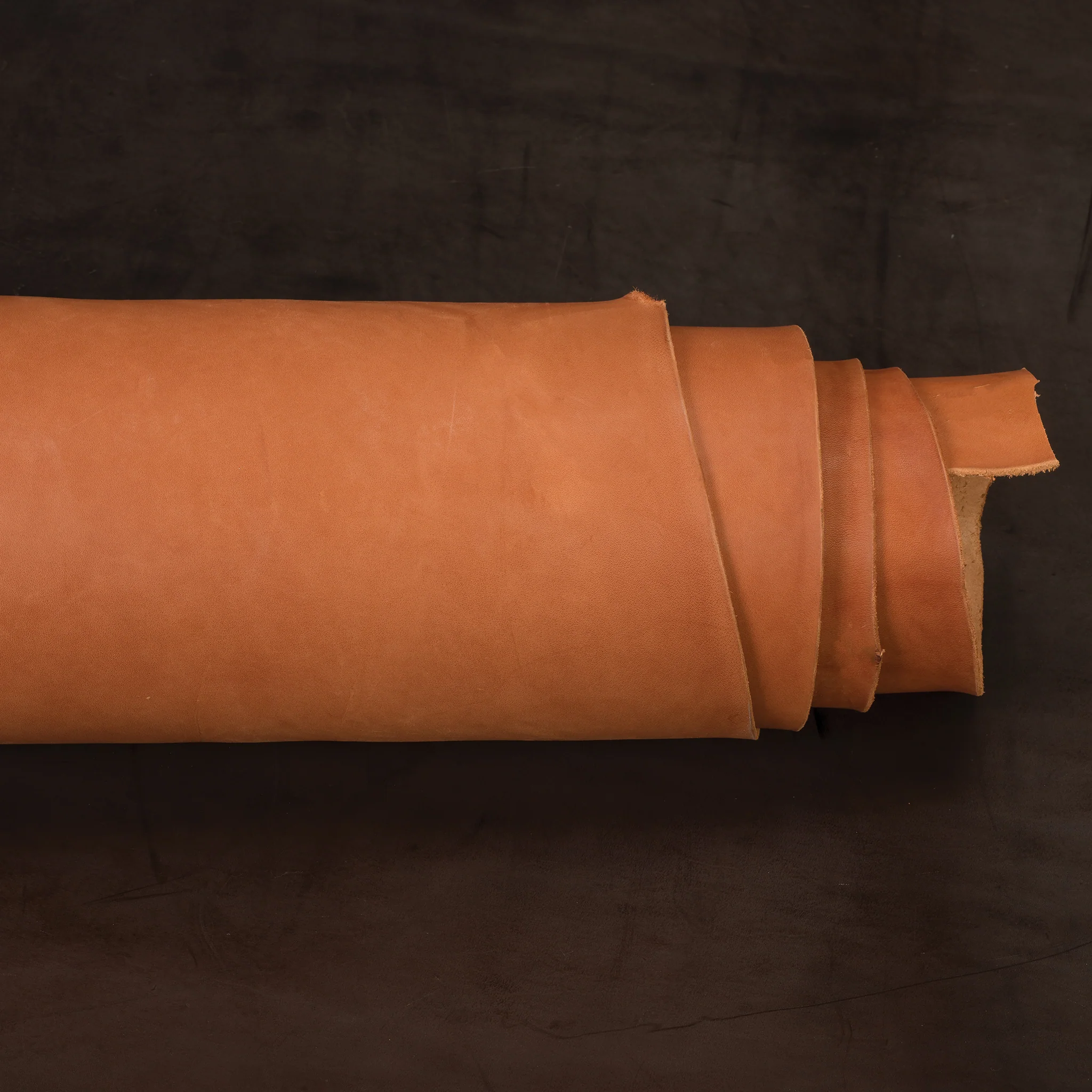 5975-chahinleather-holster-leather-side-1.webp