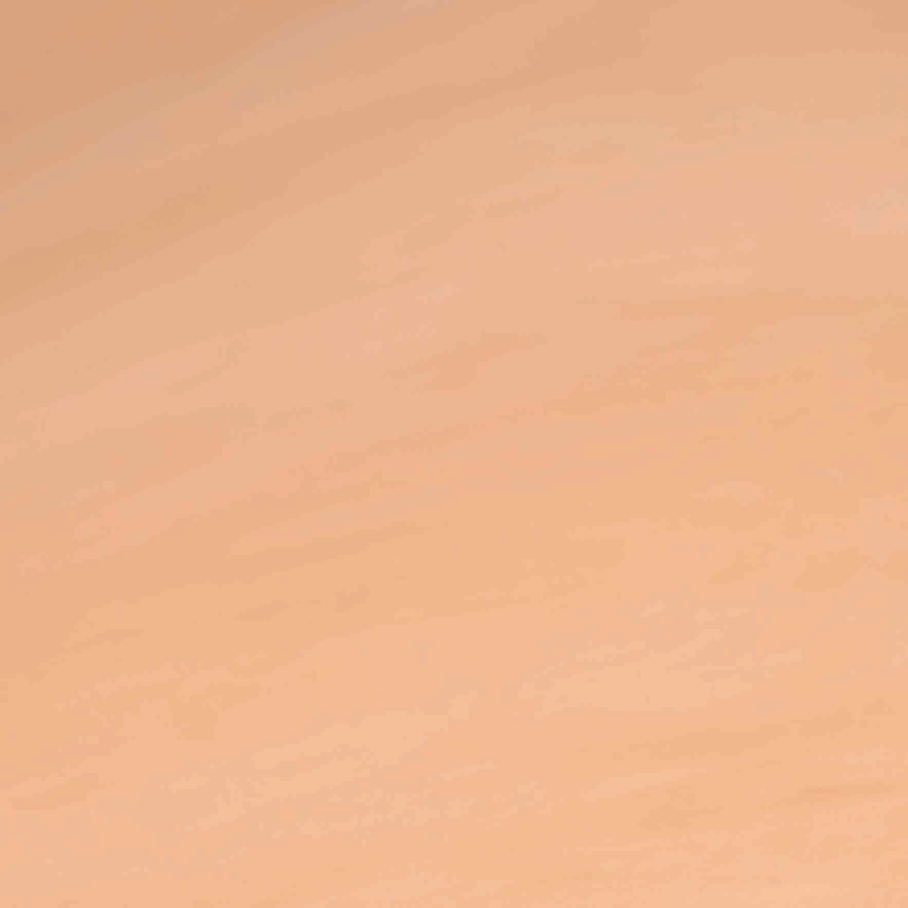 CHAHINLEATHERÂ® Veg-Tan Leather Panel