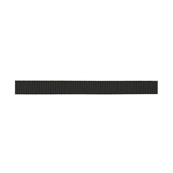 Classic Nylon Webbing, 1"