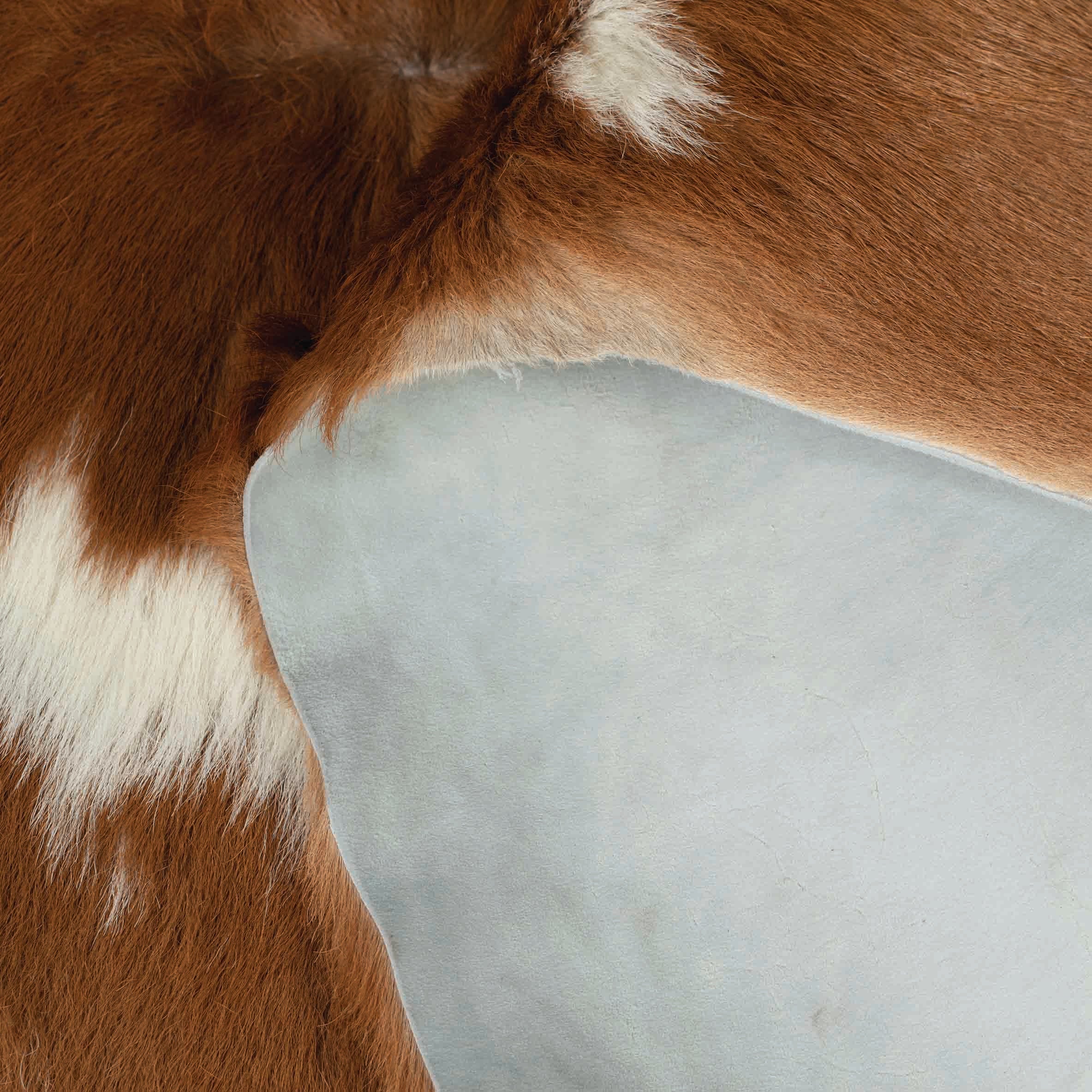 7243-hair-on-calf-hide-2-to-3-oz–1.jpg