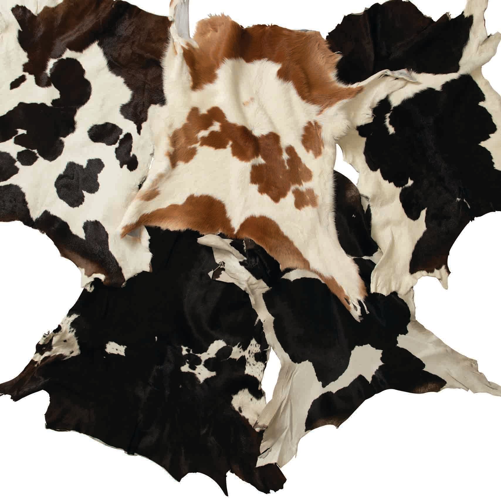 7243-hair-on-calf-hide-2-to-3-oz–1.jpg