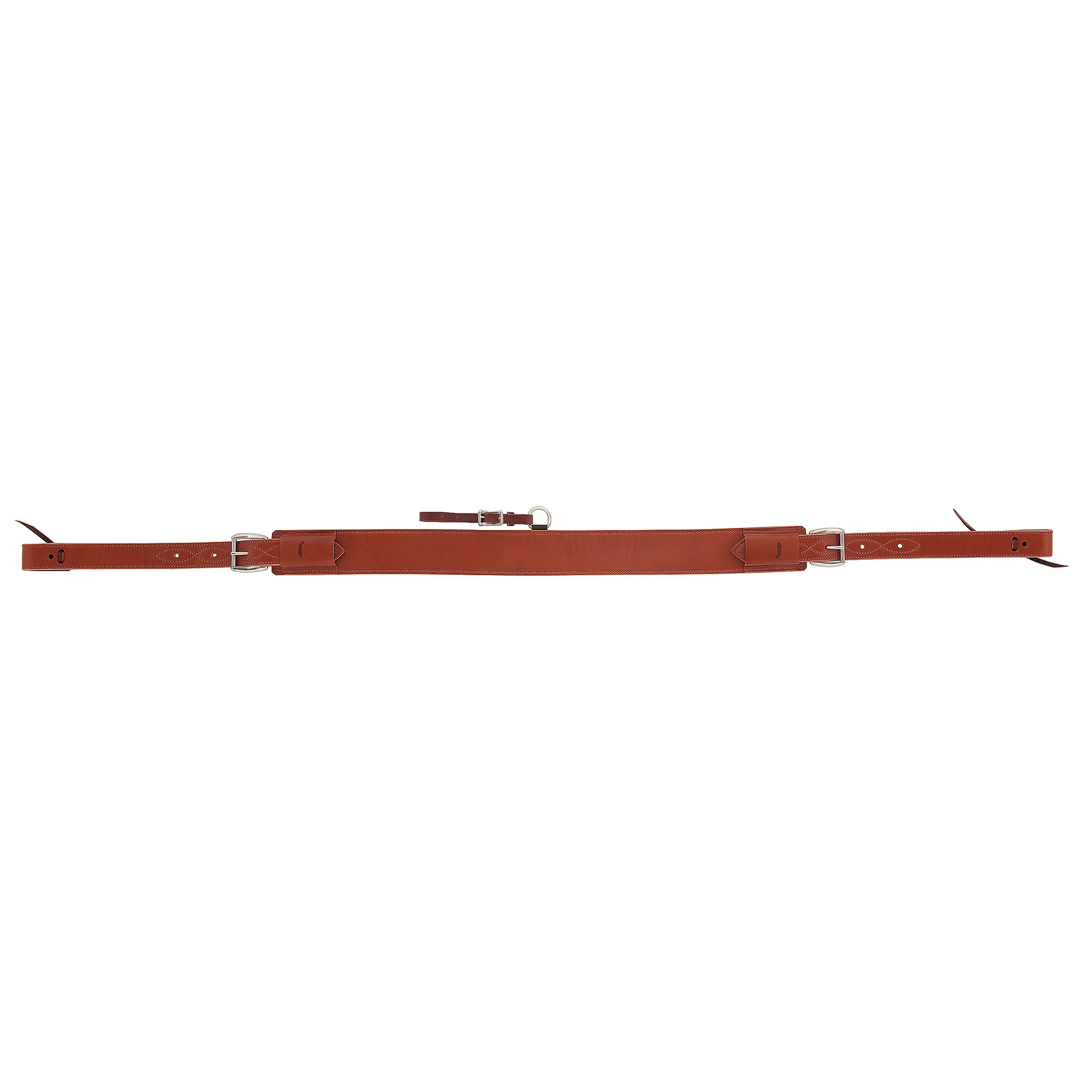 7308-heavy-duty-back-cinch-complete-1.webp