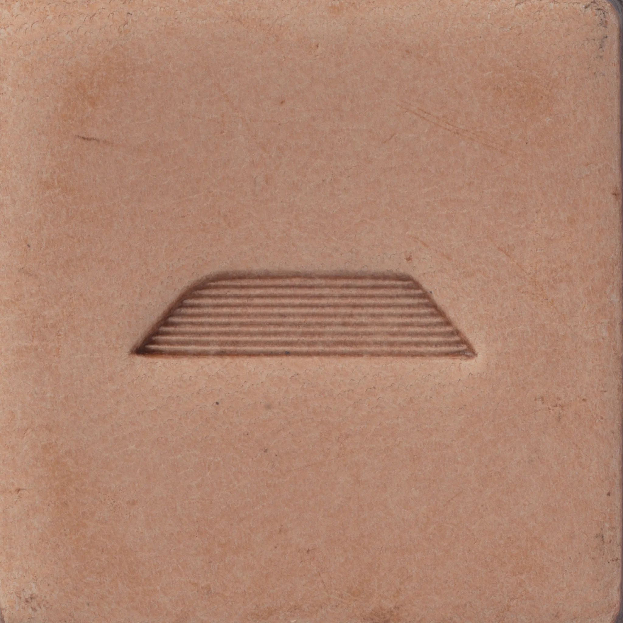 Leaf Liner Stamping Tool