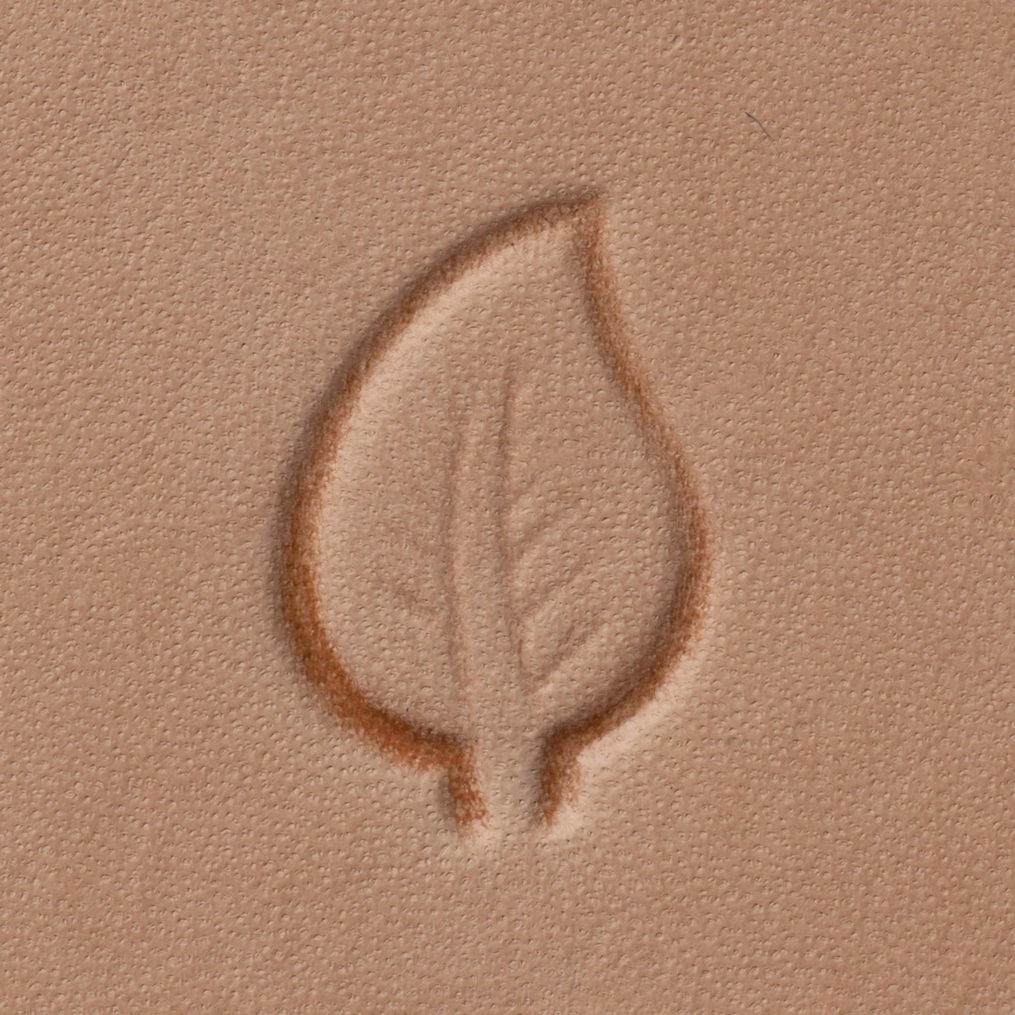 Leaf Stamping Tool