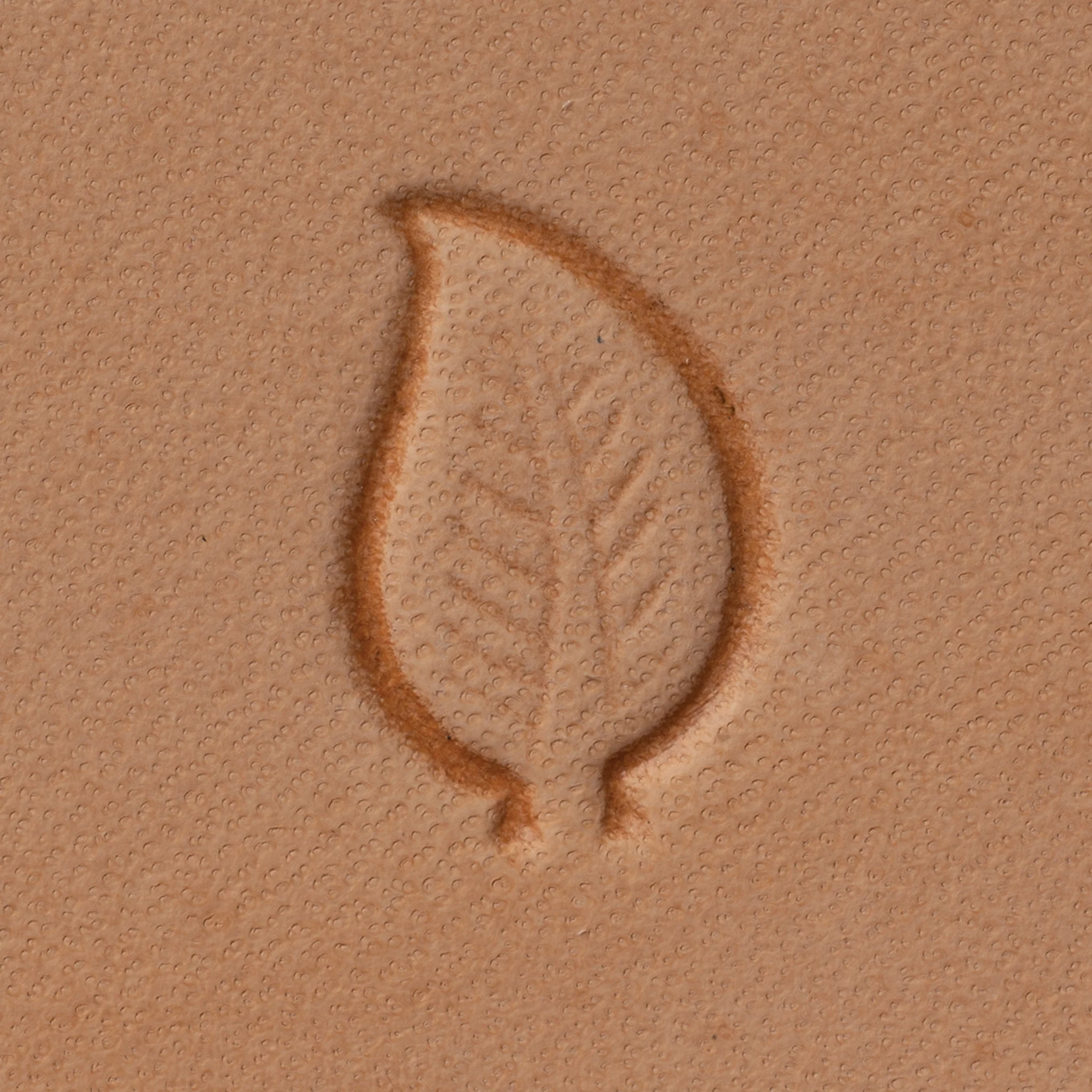 7912-leaf-stamping-tool-1.webp