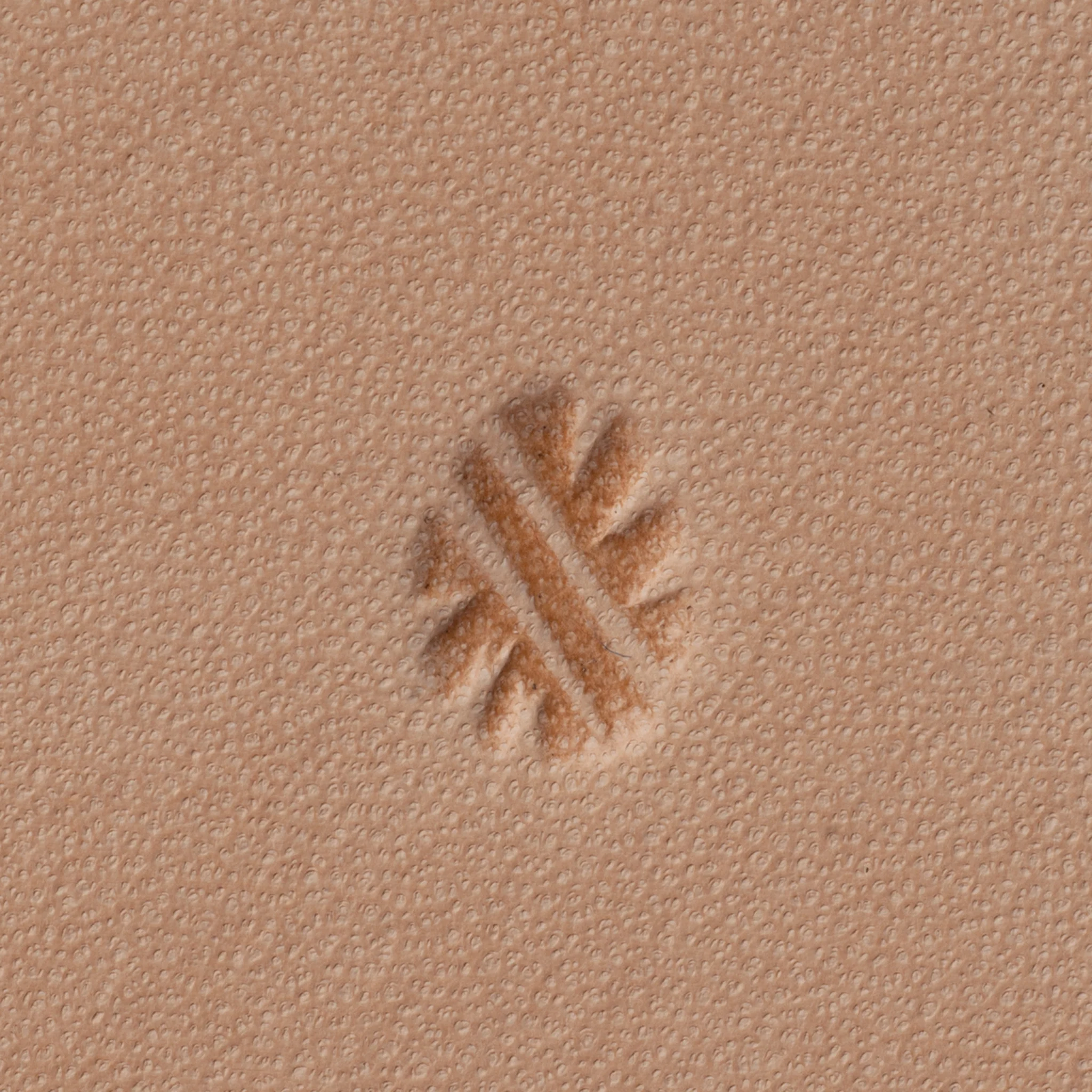 Lined Background Stamping Tool