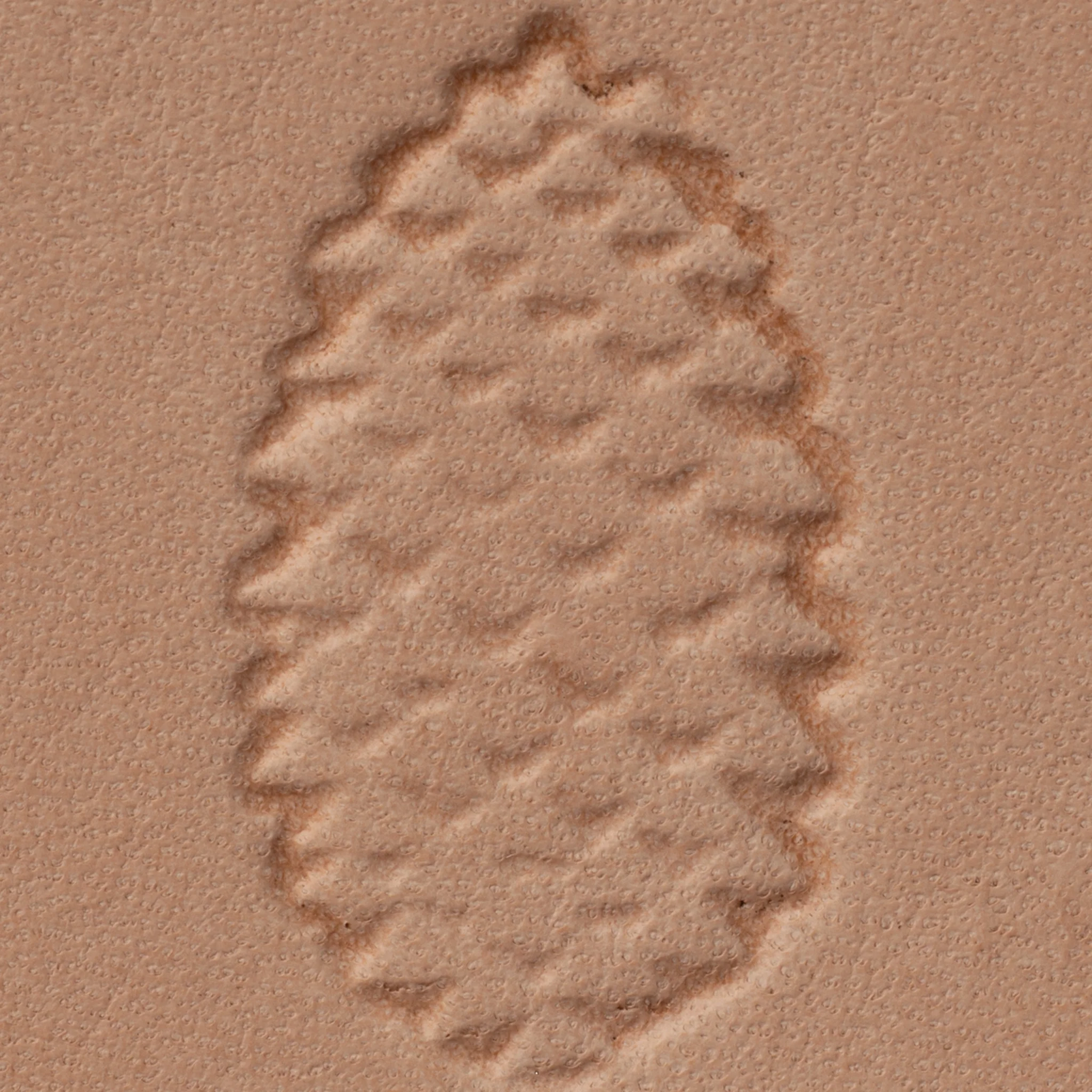 Pine Cone Stamping Tool, W568