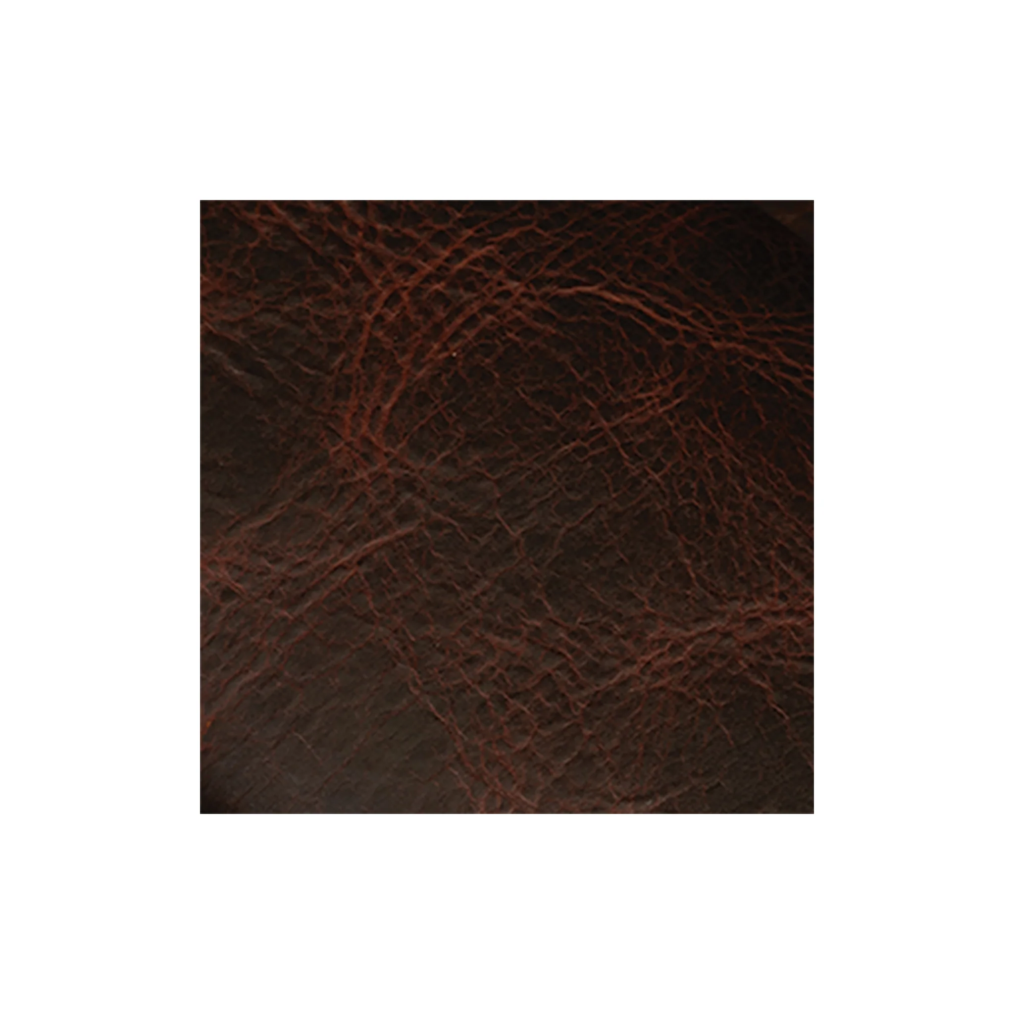 9226-sample-american-bison-leather-side-1.webp