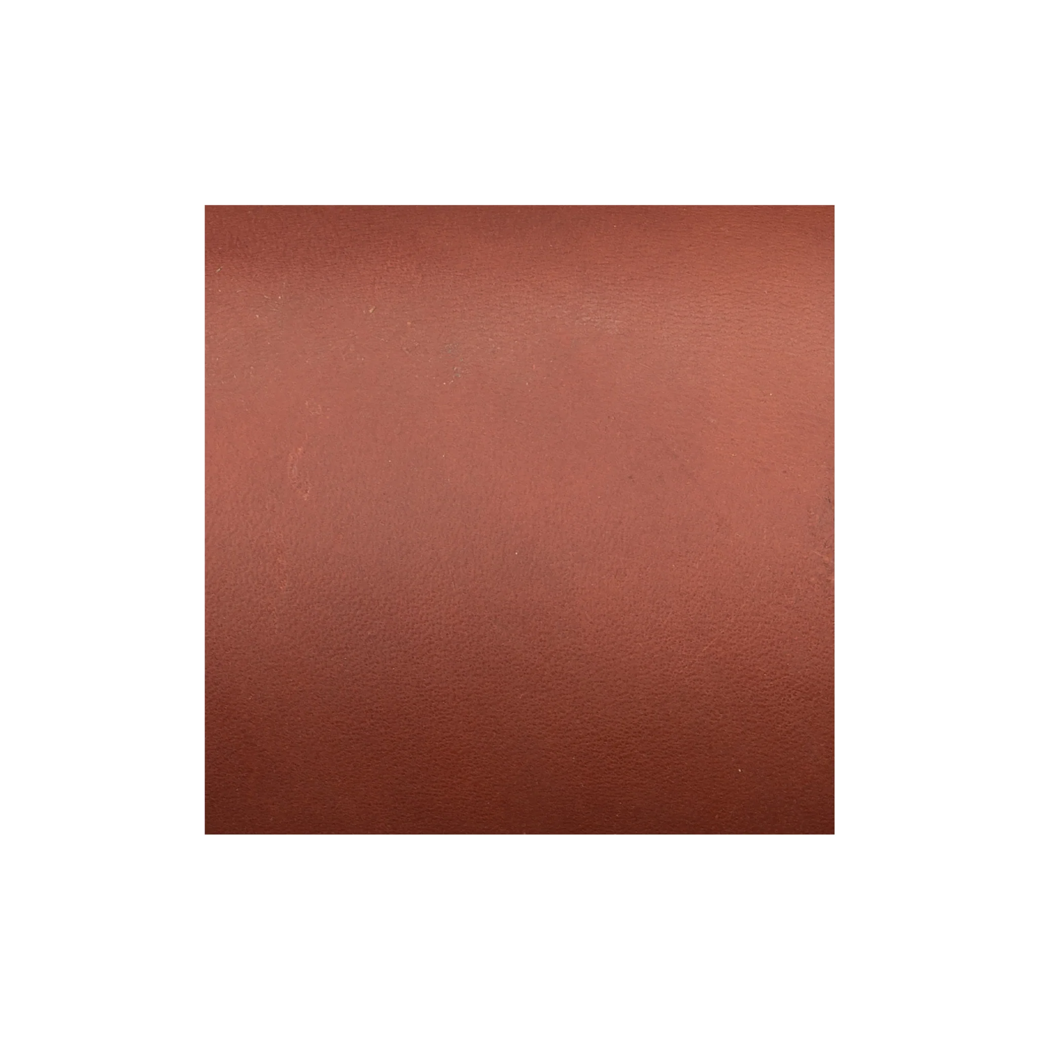 Sample, CHAHINLEATHER® English Bridle Sides