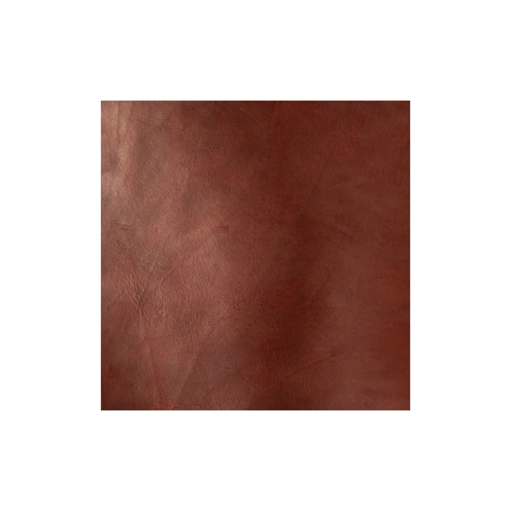 9268-sample-chahinleather-english-bridle-sides-1.webp