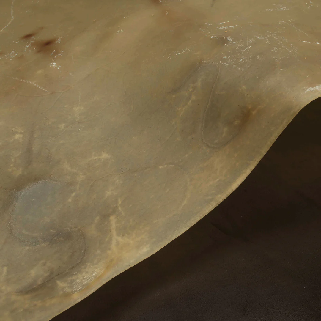 Sample, CHAHINLEATHER® Rawhide Leather