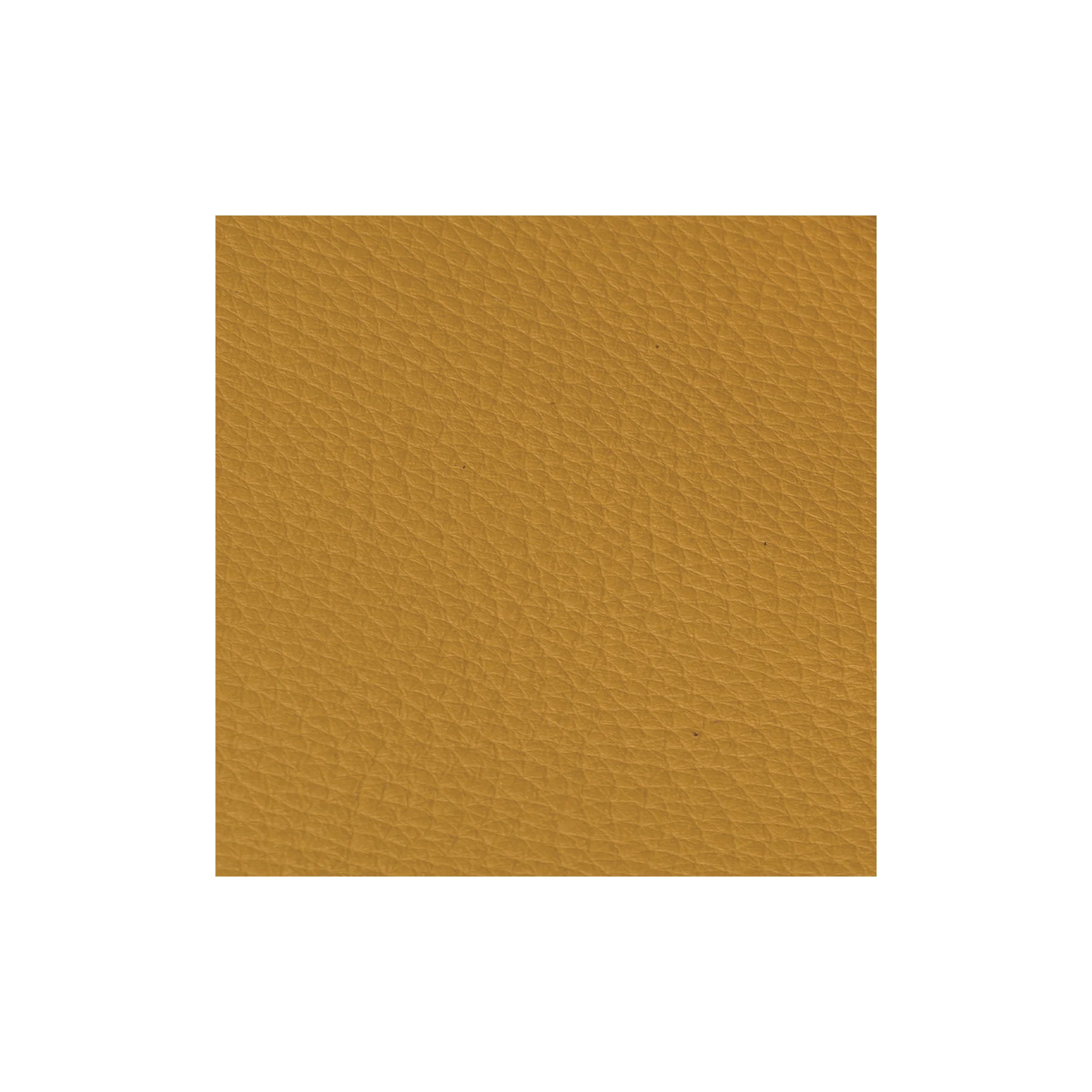 Sample, Chrome Oil Tanned Top Grain Leather, Doetan, 5-6 oz.