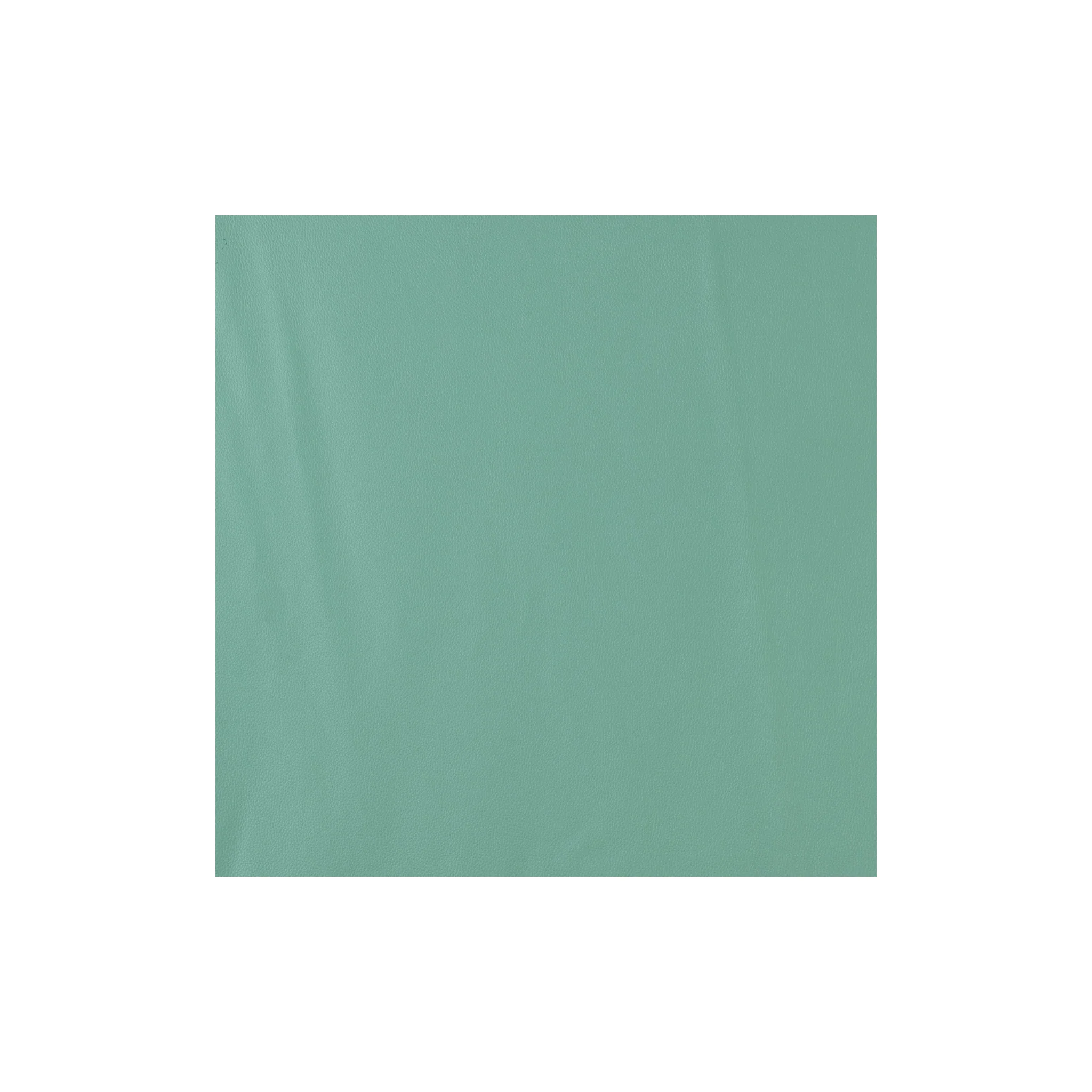 Sample, Coastal Leather, 2/3 oz.