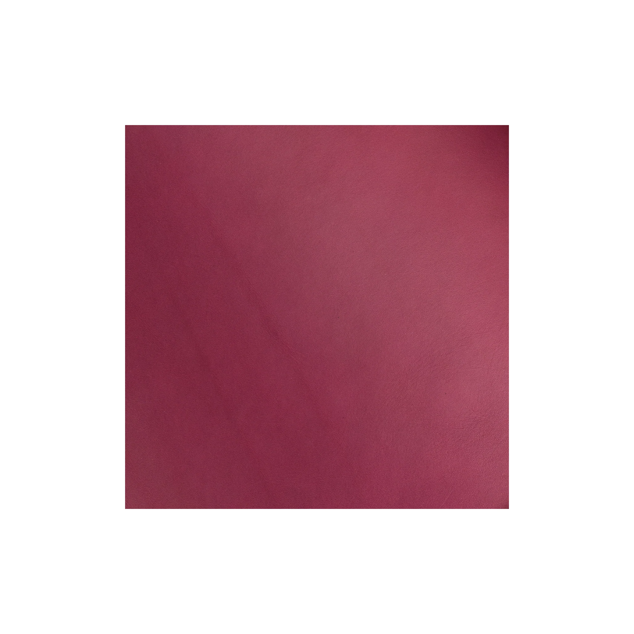 Sample, English Bridle Leather Side, 3 to 4 oz.