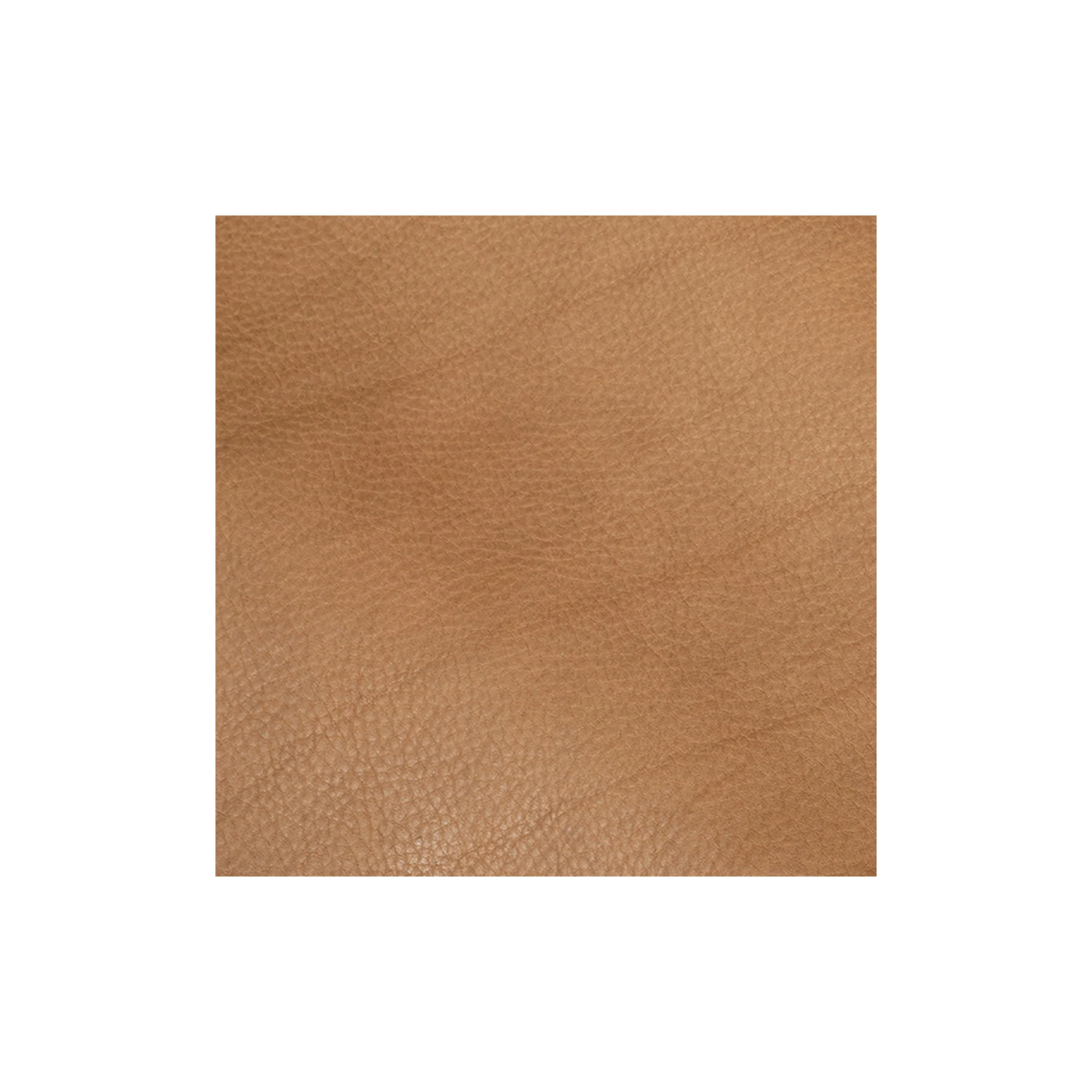 Sample, Italian Double Shoulders, 4 to 5 oz.