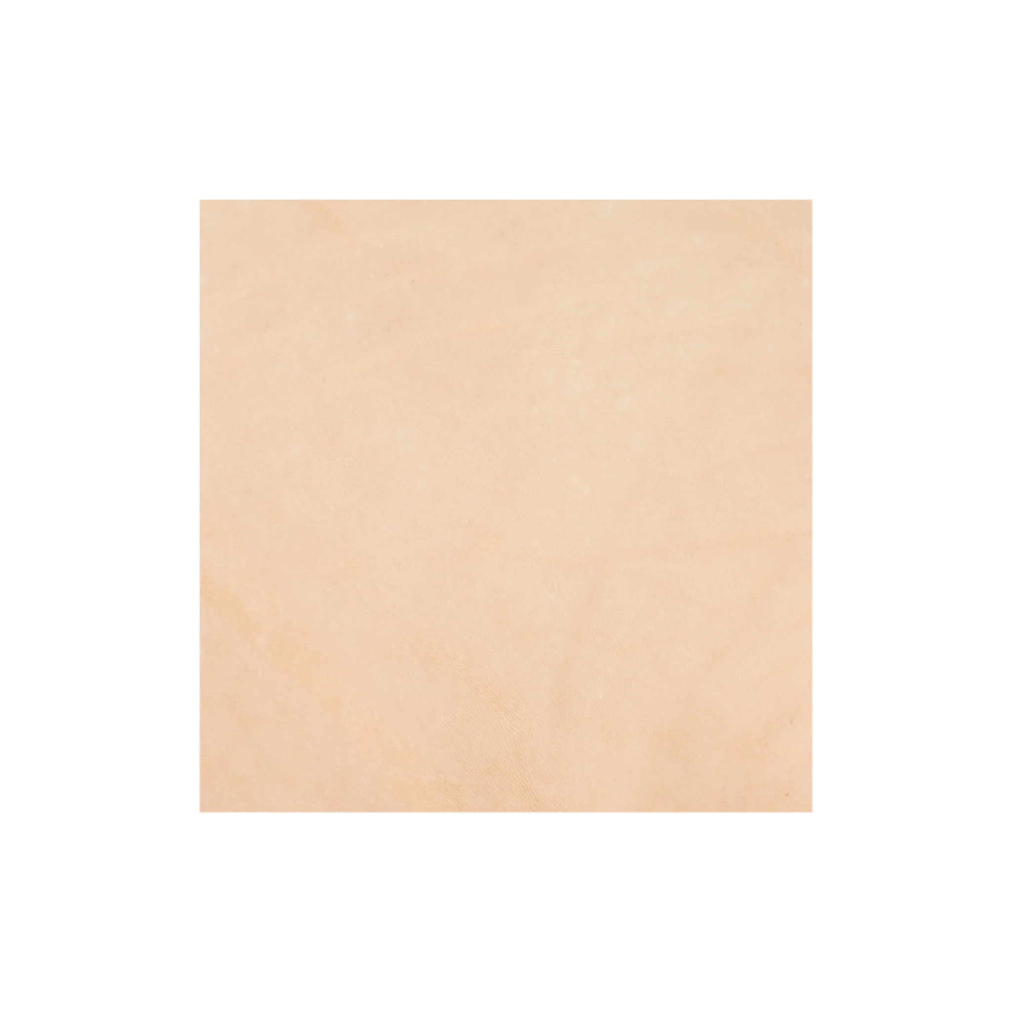 Sample, Veg Tanned Double Back with Pasted Back, 9/10 oz